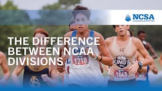 D1 vs D2 vs D3: What’s the Difference in College Sports?