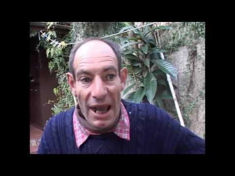 IL MISTERO DEI GIGANTI DI PAULI ARBAREI - Intervista documentario a Luigi Muscas