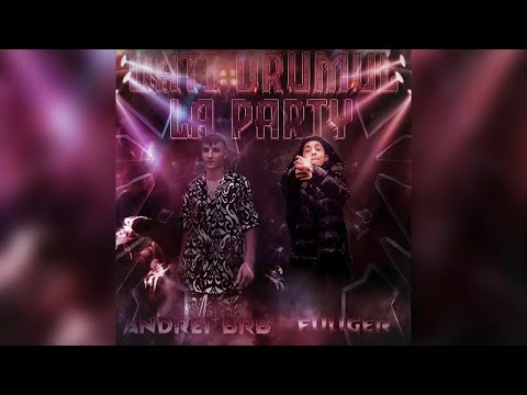 Andrei BRB x Fullger - Dati drumul la party (Official Audio)