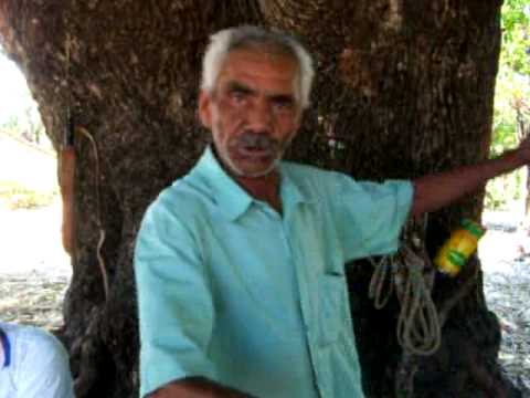 Matias de Buritirama