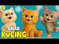 Lagu Anak Anak ANAK KUCING MEONG MEONG Lagu Anak Balita Terbaru Viral Terbaik