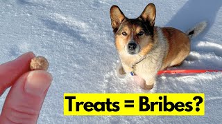Are Treats Bribes? Busting Force Free Dog Training Myths