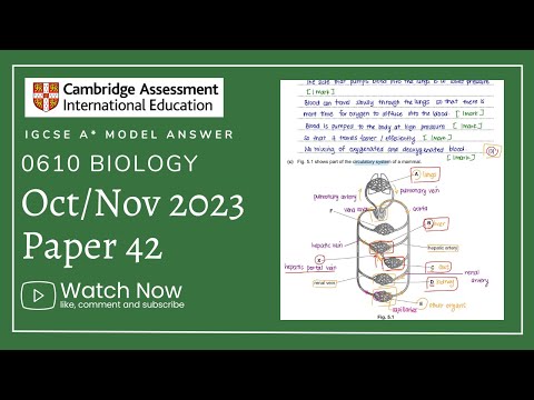 IGCSE Biology Paper 42 - Oct/Nov 2023 - 0610/42/O/N/23 (Q4-6) SOLVED