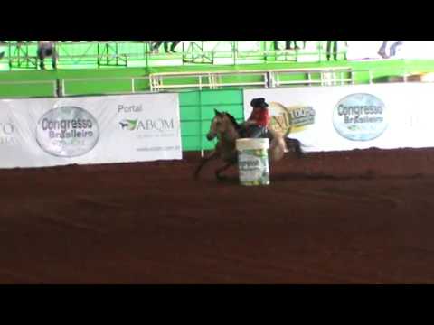 ST Tapioca - Congresso ABQM 2016