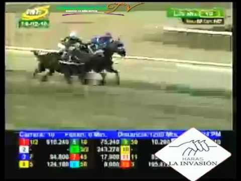 LA RINCONADA 10 CARRERA, DOMINGO 14 DE FEBRERO DEL 2016