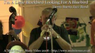 I'm A Little Blackbird Looking For A Bluebird - Tierra Buena Jazz Band