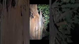 Download lagu 🔴PETILASAN/MAKAM TIDAK BERNAMA Part 1,,‼️ #surojatijogoreksochannel #fypppp #misteri #makamkeramat mp3