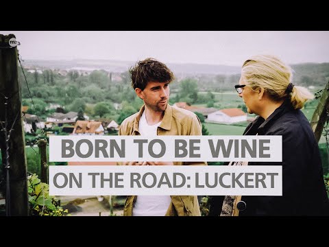 BORN TO BE WINE_On the road — Zu Gast auf dem Zehnthof Luckert