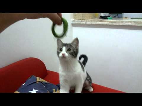 Dilma playing with hair rubber