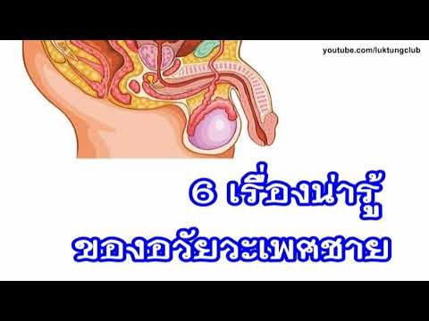 Viagra ห้ามยา ผู้หญิงซื้อเชื้อโรค Simferopol