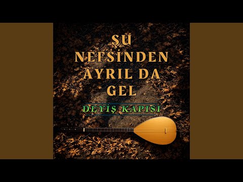 Şu Nefsinden Ayrıl Da Gel