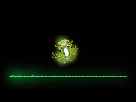 Fancy Inc, Dymno - All I Need