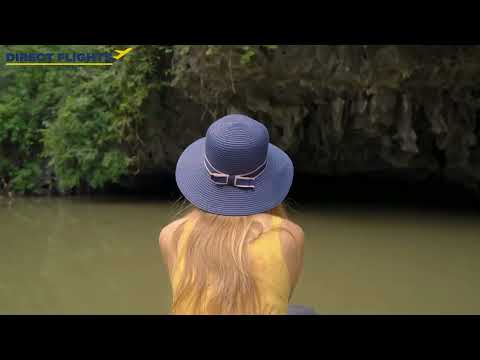 Discover Vietnam's Flavors: From Hanoi to Halong Bay and the Mekong Delta I Direct Flights