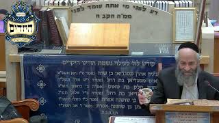 הרב משה כהן | הלכות | יזדים (בית הכנסת מוסאיוף) - התמונה מוצגת ישירות מתוך אתר האינטרנט יוטיוב. זכויות היוצרים בתמונה שייכות ליוצרה. קישור קרדיט למקור התוכן נמצא בתוך דף הסרטון הרב משה כהן | הלכות | יזדים (בית הכנסת מוסאיוף) - התמונה מוצגת ישירות מתוך אתר האינטרנט יוטיוב. זכויות היוצרים בתמונה שייכות ליוצרה. קישור קרדיט למקור התוכן נמצא בתוך דף הסרטון