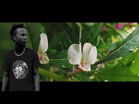 YAHWEH lyric video _-_danielriche-:_