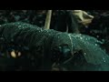 Jane Mon Tui Jibon Flute Ringtone Flute Background Music Flute Ringtone Whatsapp Status