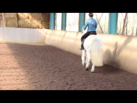 Training Fliegender Wechsel