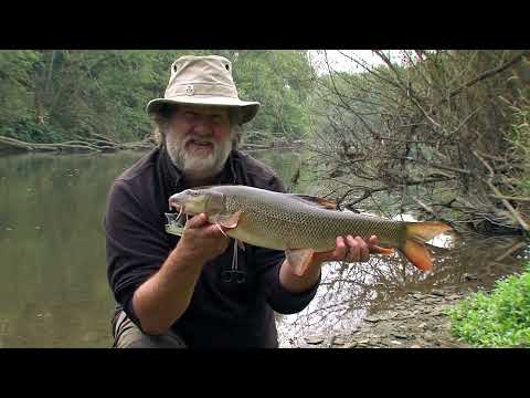 Upper Severn Barbel- Fishing with Des Taylor