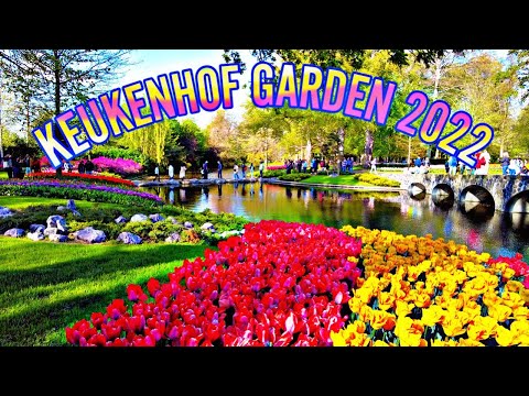 KEUKENHOF Gardens 2022. Virtual Tour 4K | 4K City Tour