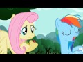 MLP May The Best Pet Win Colt Version