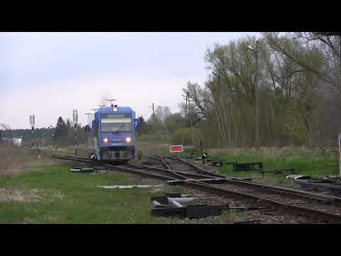 Orneta. Te dźwięki pomału odchodzą do lamusa. SA106-007.