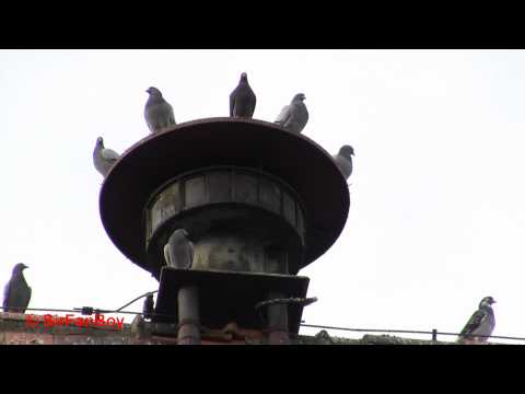 Alte Sirene außer Betrieb - Miltenberg Holsten Tor