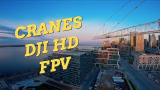 Cranes - DJI HD FPV
