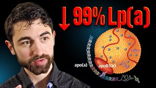 Lp(a) Explained: Genetics, Risk, and What You Can Actually Do