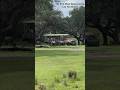 WDW Wildebeest Stampede At Kilimanjaro Safaris Animal Kingdom Safari Adventure キリマンジャロ