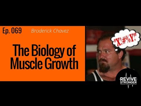 069: Broderick Chavez - The Biology of Muscle Growth