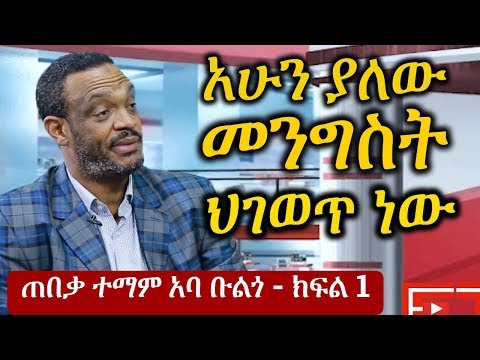 Ethiopia: አሁን ያለው የኢትዮጵያ መንግስት ህ አይደለም - ተማም አባ ቡልጎTemam Aba Bulgo Part 1