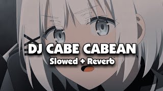 Download lagu DJ CABE CABEAN (Slowed   Reverb) mp3