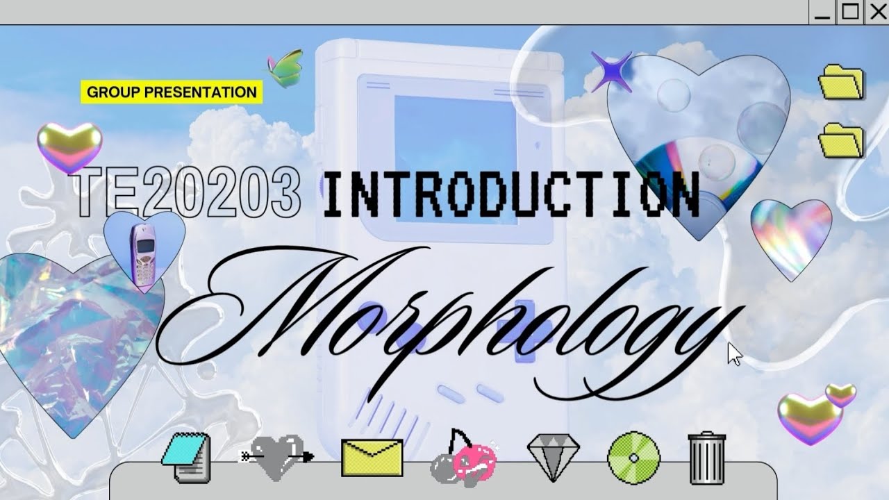 MORPHOLOGY GROUP ASSIGNMENT