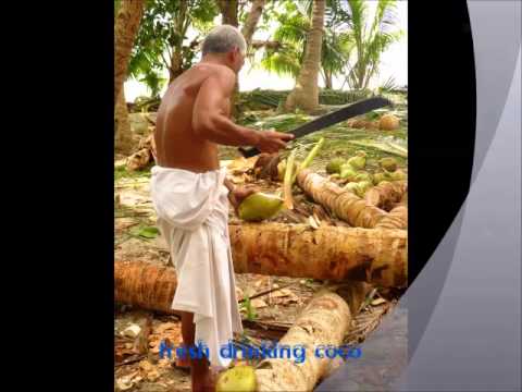 Sailing and Diving with Coolrunning II in the Federated States of Micronesia