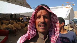 انخفاض الطلب على الأضاحي رغم تراجع الأسعار٢٠ %