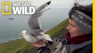 Download lagu Meet Bird Yuri | Behind Russia's Frozen Curtain mp3