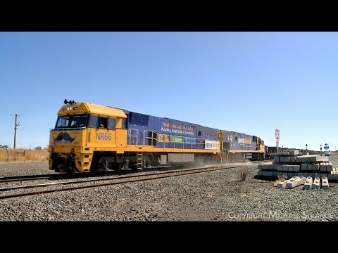 NR66 "Movember" Leads 4PM4 Pacific National Steel & Container Freight Train (19/2/2023) - PoathTV