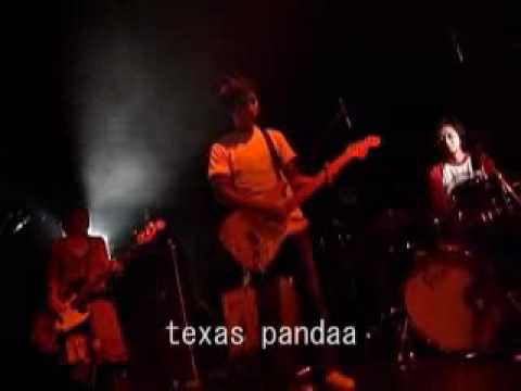 texas pandaa / after reflection【残響祭 Vol.2 Live Video】