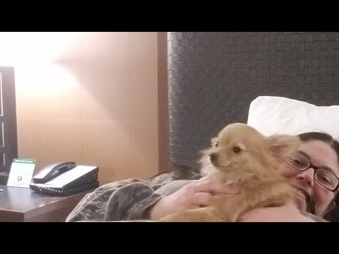 🔴 LIVE BLIZZARD | RAPID CITY, SD.