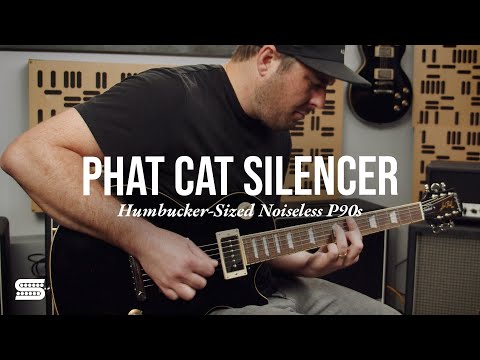 Seymour Duncan Hot Phat Cat Silencer | Seymour Duncan Seymour Duncan Hot Phat Cat Silencer | Seymour Duncan