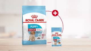 Royal Canin Puppy Medium pienso para cachorros de razas medianas I Zooplus