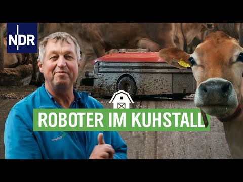 , title : 'Moderne Landwirtschaft 3.0: Kühe & Roboter in einer Scheune | Die Nordreportage | NDR'