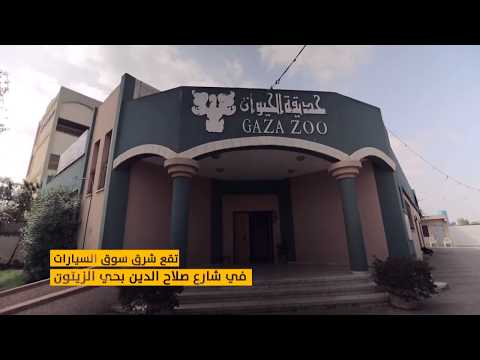 تعرف على حديقة حيوان غزة