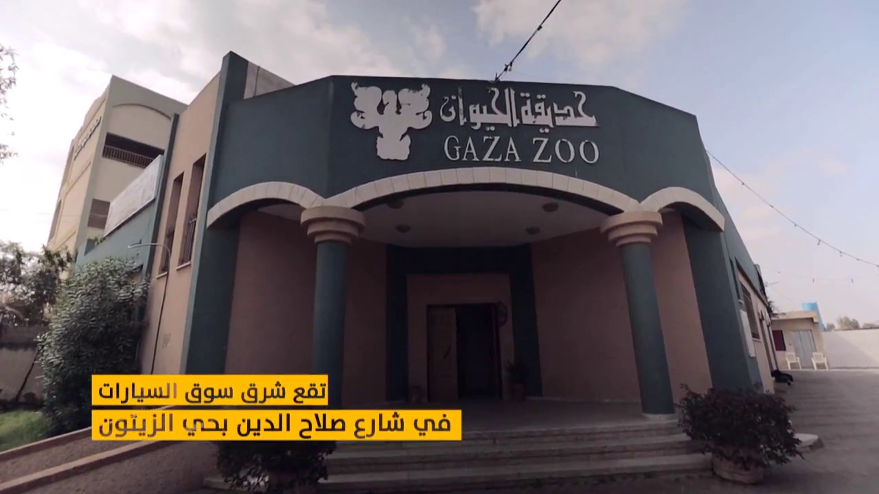 تعرف على حديقة حيوان غزة