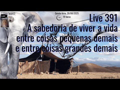 Live 391. A sabedoria de viver a vida entre coisas pequenas demais e entre coisas grandes demais