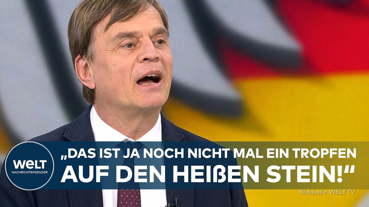 STEUERN AUF NULL? AfD-Fantasien ‒ Bernd Baumanns radikaler Plan für Familien ist unfassbar