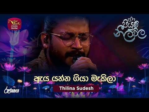 Aya Yanna Giya | ඇය යන්න ගියා මැකිලා | Thilina Sudesh | Piyum Neela Vila | Roo Tunes