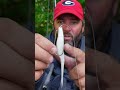 Fluke Tricks 🤯