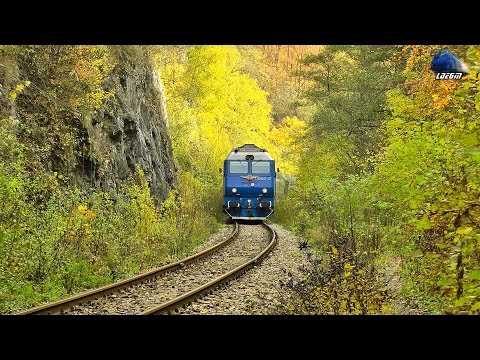 Trenurile Toamnei in Muntii Apuseni - Autumn Trains in Apuseni Mountains - 07 November 2014