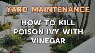 How to Kill Poison Ivy With Vinegar